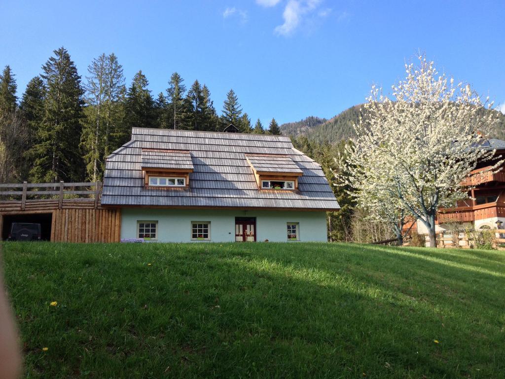 La Lince Lodge Camporosso  Εξωτερικό φωτογραφία