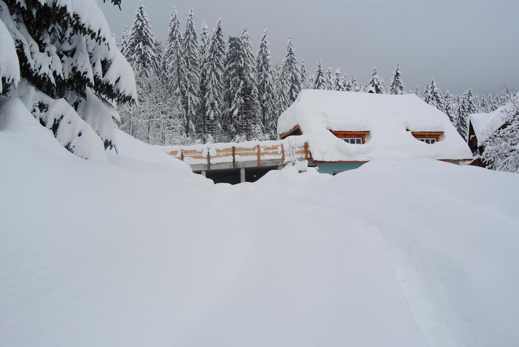 La Lince Lodge Camporosso  Εξωτερικό φωτογραφία